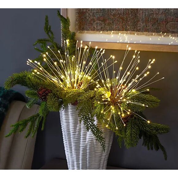 Bethlehem Stake Lights (2) Star Bursts Remote Black Wire Multicolor Timer NWOT - Picture 3 of 4